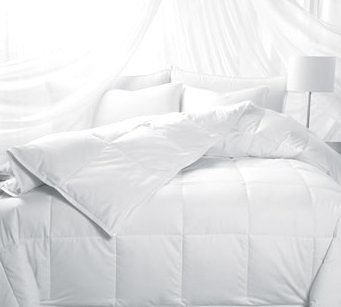 Goose Down Duvet ไส้ผ้านวม ขนห่าน Goose Down Duvet ไส้ผ้านวม ขนห่าน
