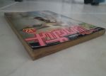 พาฝัน ฉบับที่ 19/ยอดธิดา /////ขายแล้วค่ะ