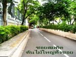 ขาย Sale CONDO คอนโด ห้องสวย CONDO THE ADDRESS CHIDLOM ชั้นที่ 15 th Floor พื้นที่ 56 ตารางเมตร Sqm