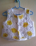 เสื้อกั๊ก