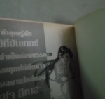 ฆาตกรตระกูลใหญ่/////ขายแล้วค่ะ