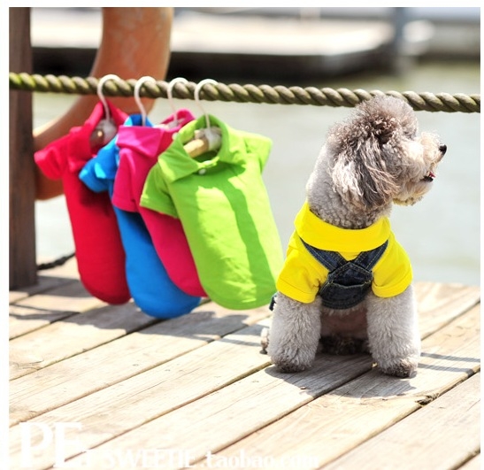พร้อมส่ง เสื้อโปโลคอปก พร้อมส่ง เสื้อโปโลคอปก