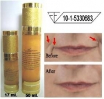 DNA Collagen