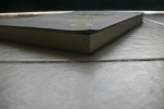 อีสปพบผู้นำมือโปร/เขียน:DAVID C. NOONAN