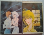 คำสาปเงาพระจันทร์เล่ม 2และ3