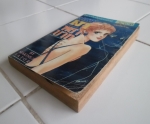 เงาพยาบาท/MAKIMURA SATORU/////ขายแล้วค่ะ