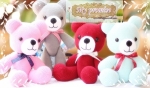 ตุ๊กตาหมีถัก