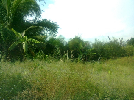 ที่ดิน 4 ไร่ บ้านฉางระยอง  + บ้าน 2 หลัง