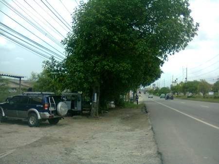 ขายที่ดิน 28 ไร่ ติดถนน สุขุมวิท มาบตาพุด จ.ระยอง