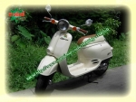 honda giorno honda-scoopy 50cc