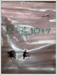DSG1017