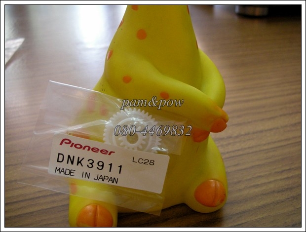 DNK3911