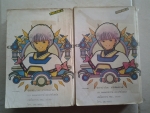 VEDIO GIRL เล่ม2และ3(ชุดนี้ 3 เล่มจบ) / บ้านสีแสด