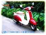 suzuki verde 50cc suzuki basket 50cc