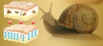 Pink Clay Face Wash Soap US $25.82 - 26.18 / Unit