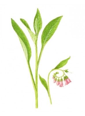 Allantoin(1 kg)