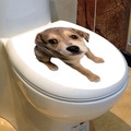 sticker cover toilet sticker cover toilet