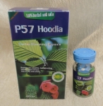 P57 Hoodia weight loss  (minimum order :100 (boxes)   $15.4