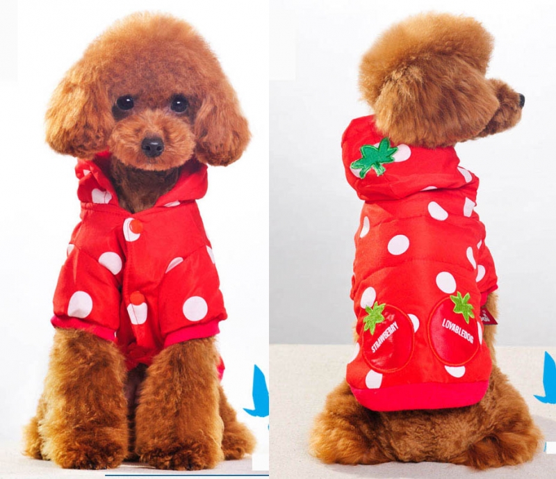 พร้อมส่ง เสื้อ Jacket สีแดงลายสตรอเบอรี่ พร้อมส่ง เสื้อ Jacket สีแดงลายสตรอเบอรี่