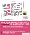 Snail White Cream ครีมหอยทากยอดฮิต