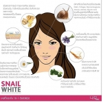 Snail White Cream ครีมหอยทากยอดฮิต
