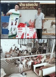 บริจาคอาหารสุนัขและแมว มูลนิธิ บ้านแสงตะวัน บริจาคอาหารสุนัขและแมว มูลนิธิ บ้านแสงตะวัน