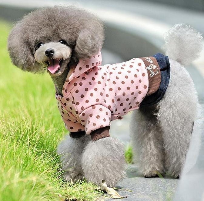 พร้อมส่ง กระโปรงสั้น เสื้อลายจุดมีฮู้ด สีชมพู พร้อมส่ง กระโปรงสั้น เสื้อลายจุดมีฮู้ด สีชมพู