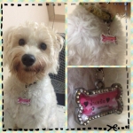 พร้อมส่ง Dog Tag รูปกระดูกประดับเพชร