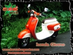 honda giorno honda-scoopy 50cc