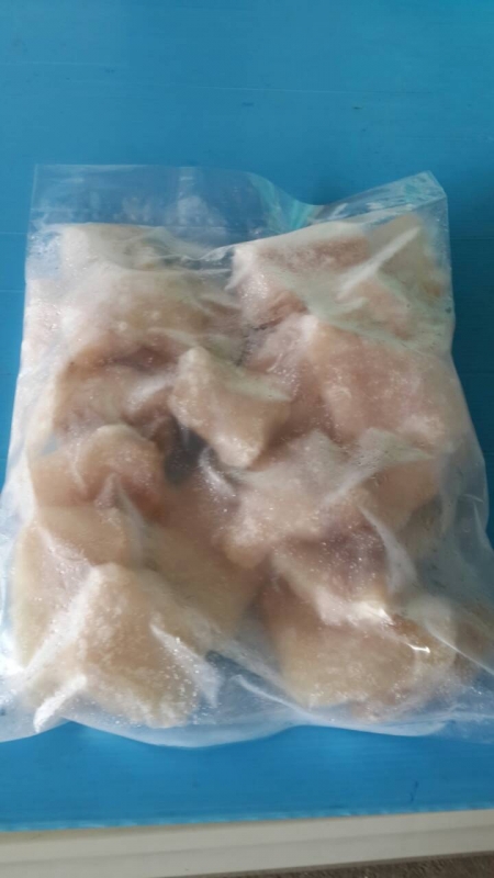 กะพงแสม