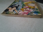 เจ้าสาวซาตาน เล่ม 12 / ยอดธิดา