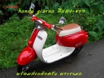 honda giorno honda-scoopy 50cc