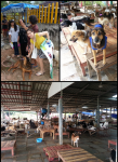 บ้านสุนัขจรจัด พี่จิ๋ม ชลบุรี บ้านสุนัขจรจัด พี่จิ๋ม ชลบุรี