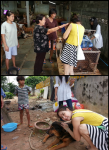 บ้านสุนัขจรจัด พี่จิ๋ม ชลบุรี บ้านสุนัขจรจัด พี่จิ๋ม ชลบุรี