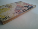 เจ้าสาวซาตาน เล่ม 15 / ยอดธิดา