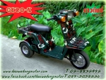 Honda Gyro-x-Honda Gyro-up รถสามล้อแปลงพิเศษ