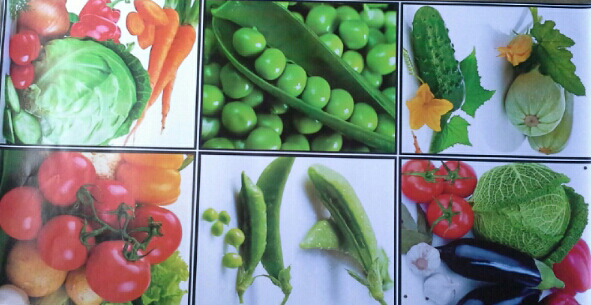 สติ๊กเกอร์ครัวกันน้ำมัน