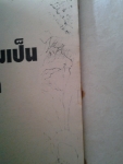 เหตุที่ผมให้กำเนิดเทวดาตัวน้อย / สยามอินเตอร์ /////ขายแล้วค่ะ