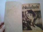 ถ้าฝันนั้นเป็นจริง / หมึกจีน