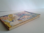 ฝันร้าย / NISHIZAWA AKIRA / สยามอินเตอร์ /////ขายแล้วค่ะ