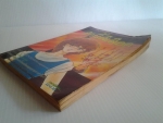 รักนี้สีเลือด / CHIE SHINOHARA /ผู้เขียนเพอเพิลอายส์ /////ขายแล้วค่ะ