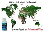 บลูเบอร์รี่ อายแคร์ ซอฟเจลเพื่อสุขภาพดวงตา
