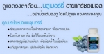 บลูเบอร์รี่ อายแคร์ ซอฟเจลเพื่อสุขภาพดวงตา
