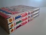 คู่พยัคฆ์นักล่า โซไรเด็น มีเล่ม 1-3 (5เล่มจบ)