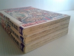 คู่พยัคฆ์นักล่า โซไรเด็น มีเล่ม 1-3 (5เล่มจบ)
