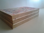คู่พยัคฆ์นักล่า โซไรเด็น มีเล่ม 1-3 (5เล่มจบ)