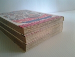 คู่พยัคฆ์นักล่า โซไรเด็น มีเล่ม 1-3 (5เล่มจบ)