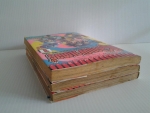 นักสู้คอมพิวเตอร์ 3 เล่มจบ / MACHIKO OCHA /////ขายแล้วค่ะ