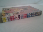 RASH!!หมอสาวจอมดีเดือด 2 เล่มจบ / TSUKASA HOJO /////ขายแล้วค่ะ