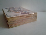 ดิจิมอน 5 เล่มจบ / YU YUEN WONG /////ขายแล้วค่ะ